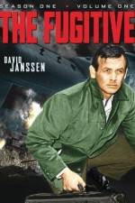 Watch The Fugitive Megashare9